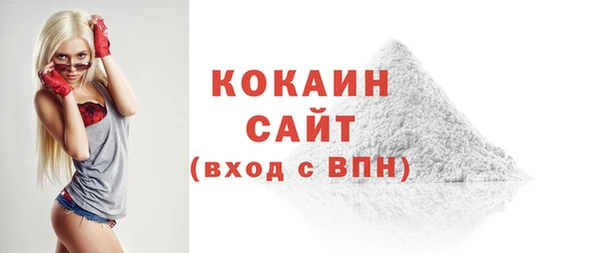 ешки Алексин