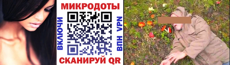 Псилоцибиновые грибы Cubensis  Кирсанов 
